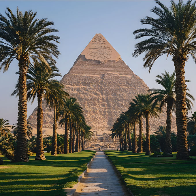 Taxonomy Featured Image